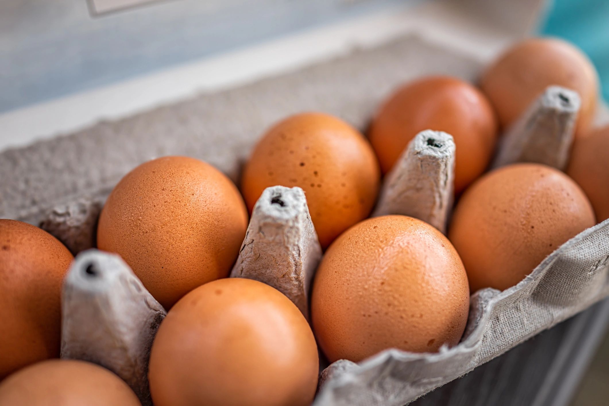 Carton of farm-fresh brown eggs with speckled shells