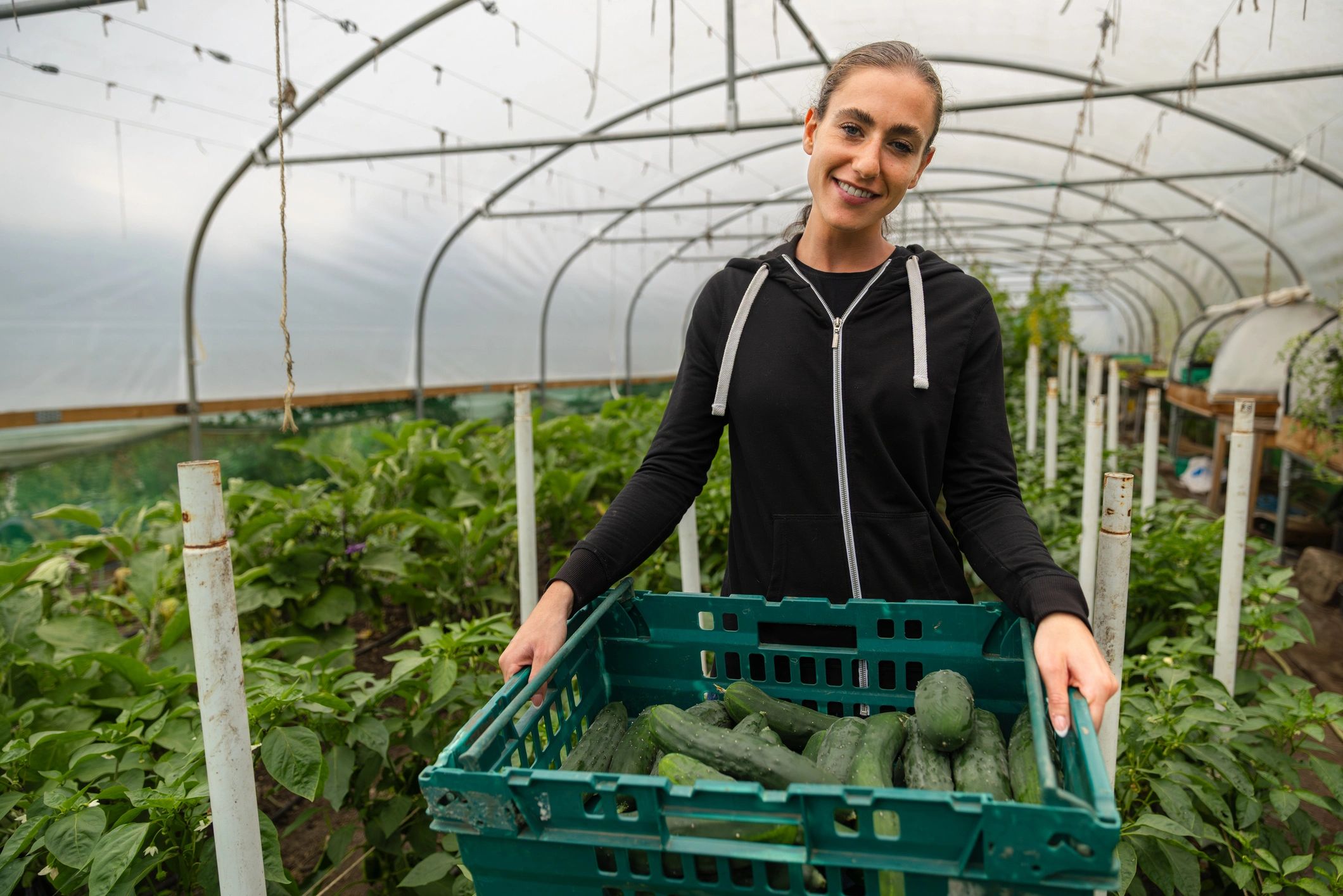 Farmer holding a crate of freshly harvested produce inside a greenhouse