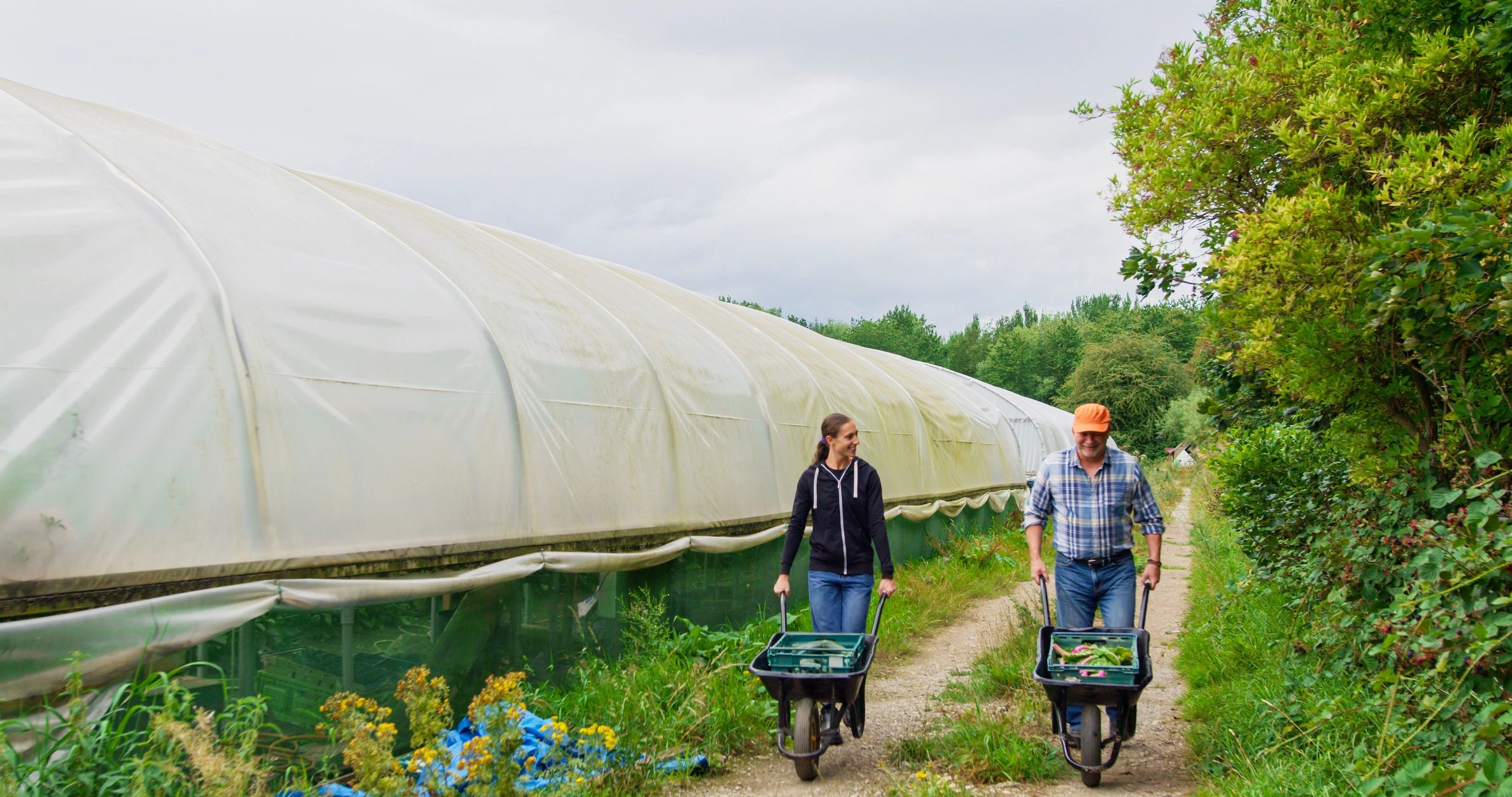 Farmer and daughter walking through an organic farm with a cart of freshly harvested vegetables