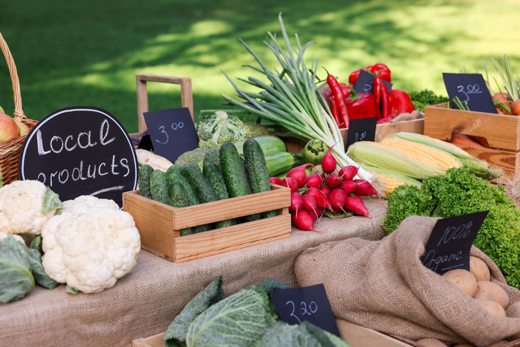 Assorted fresh vegetables displayed at a farmers market stall